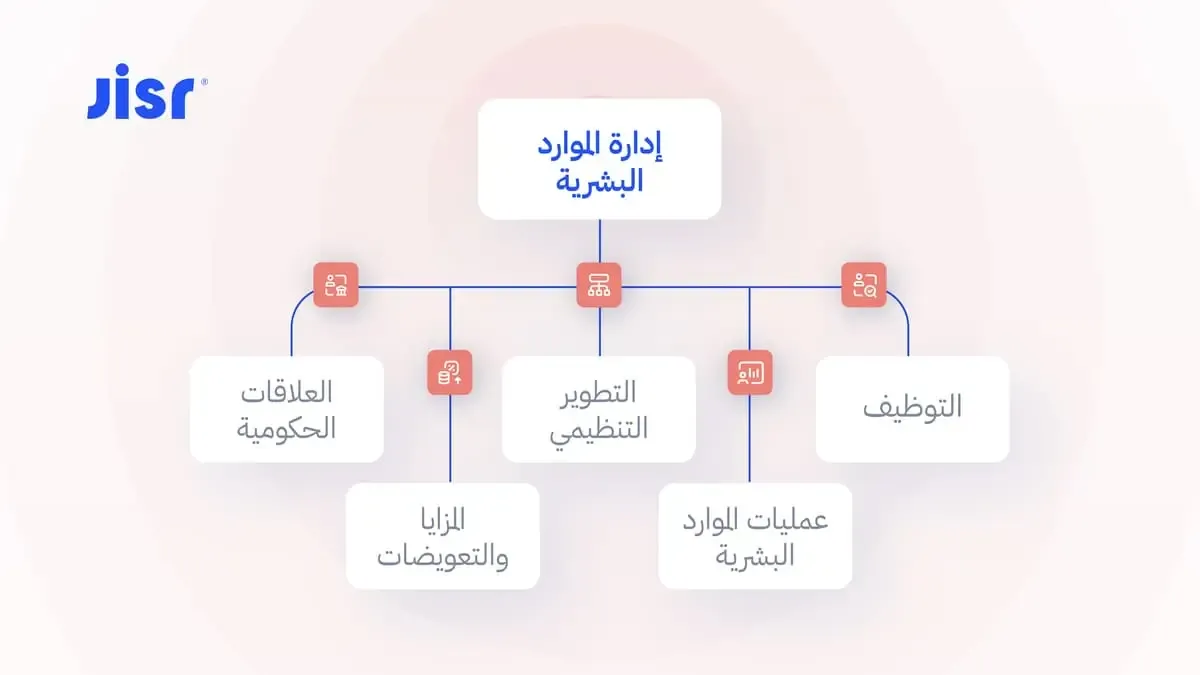 أقسام الموارد البشرية التي ينبغي أن توجد في أي منظمة